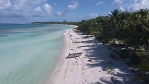 Ein Strand mit klarem türkisblauem Wasser, weißem Sand und Palmen.