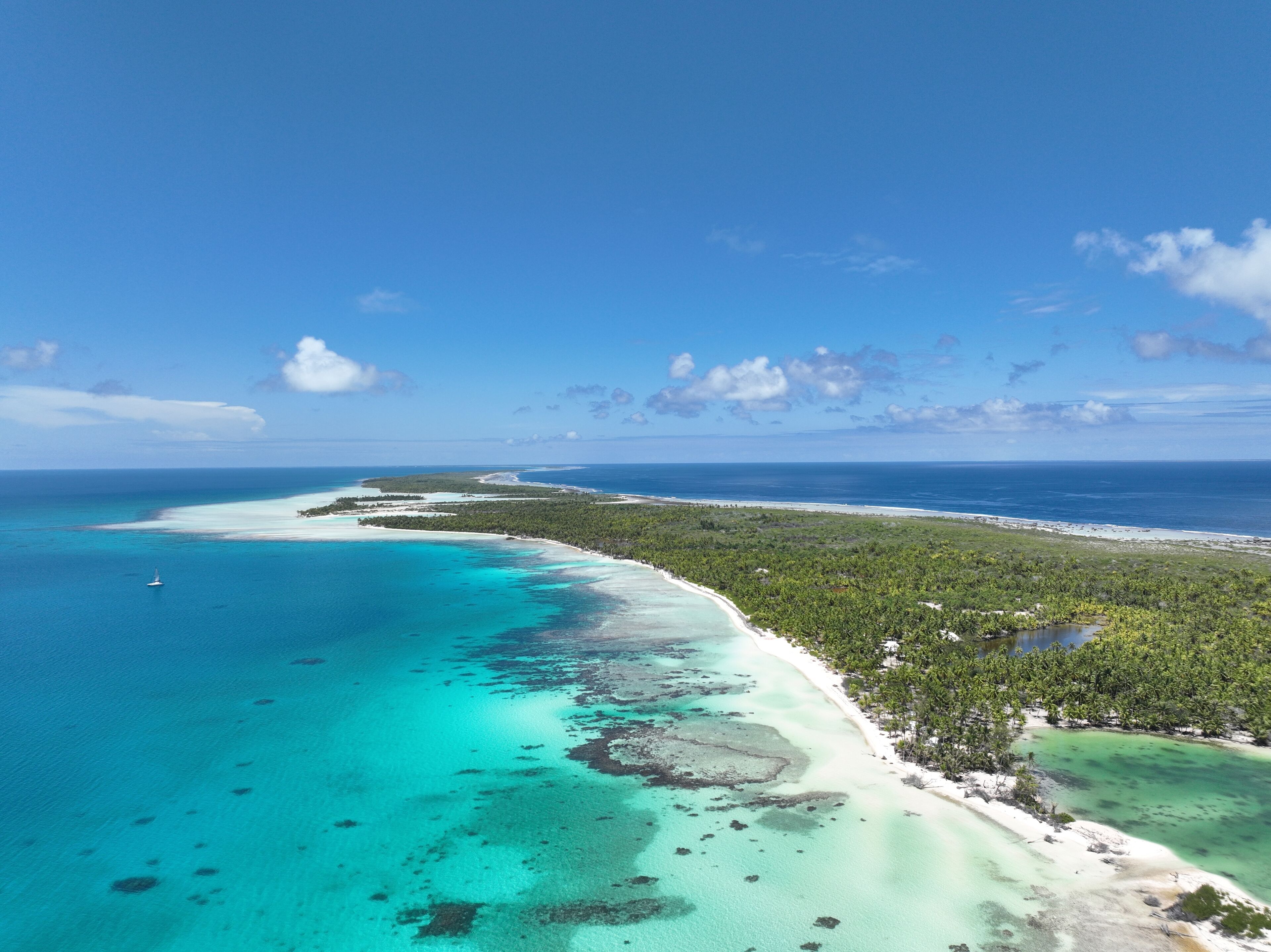 Vista aérea de una zona costera con mar azul turquesa, playa arenosa y densa vegetación verde.