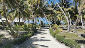 A pathway lined with palm trees leading to a beach area with a clear view of the ocean. - Aotera Guest House (Rangiroa)
