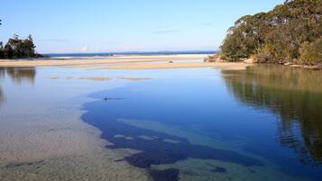 A calm lake with clear water, surrounded by trees and a sandy beach.