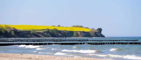 Playa en los alrededores