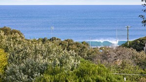 A coastal landscape with vegetation and a view of the ocean. - Caprica (Fairhaven)