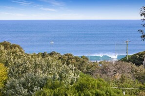 A coastal landscape with vegetation and a view of the ocean. - Caprica (Fairhaven)