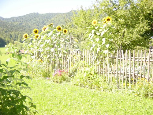 Attic Vacation Apartment - Schober Guesthouse - Jodlhof, Kreuth-Scharling