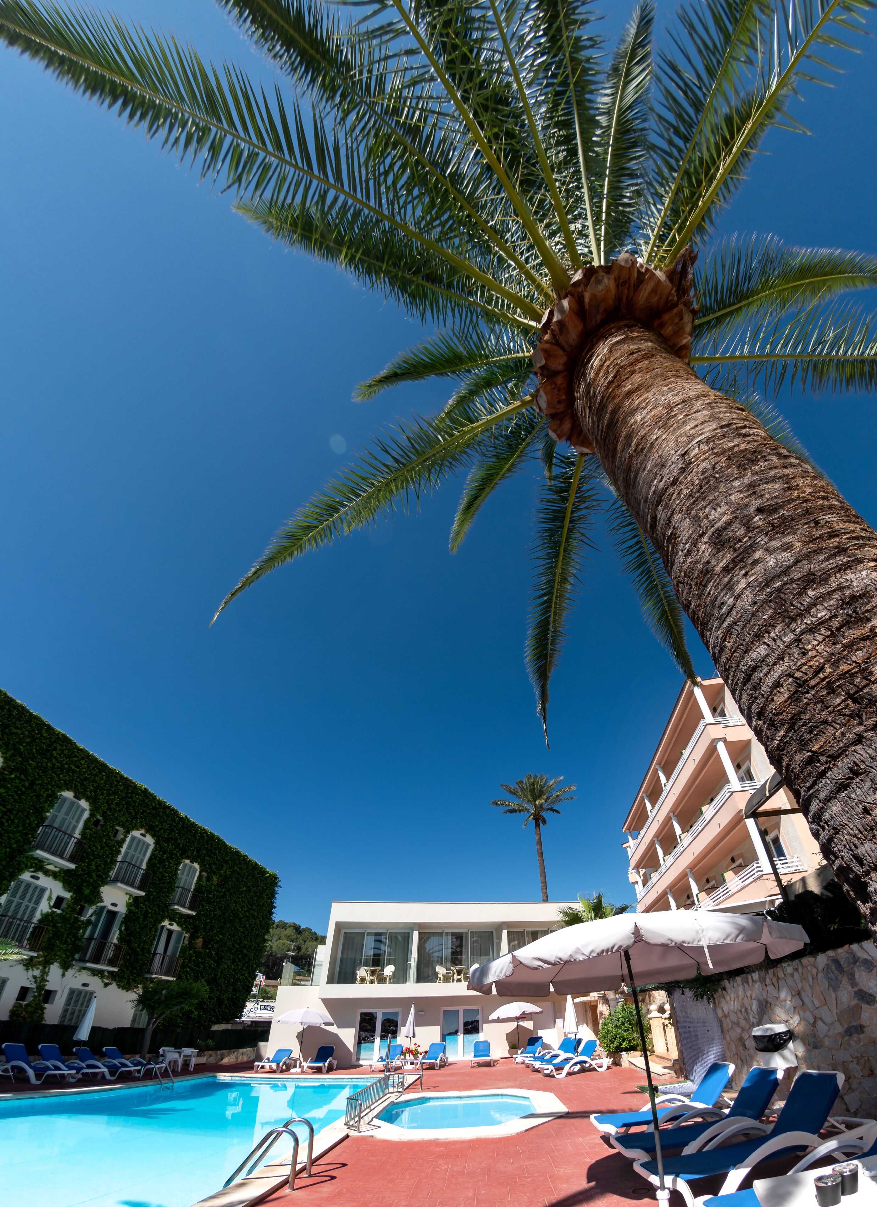 Foto - Hotel Venecia Paguera