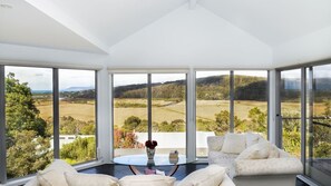 Tv, eldstad, dvd-spelare och ett musikbibliotek