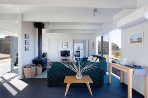 TV, fireplace, DVD player, music library