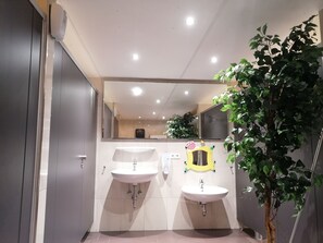 Hair dryer, towels, toilet paper