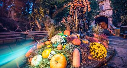 Maison 3ch 8pers proche lac