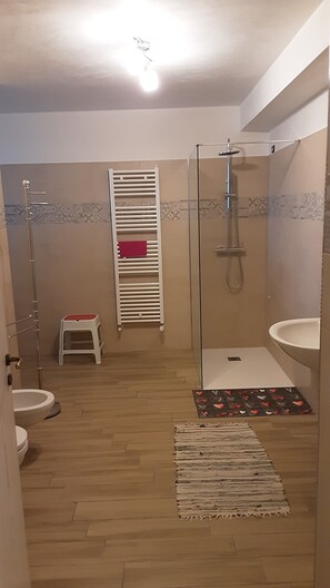 Douche, bidet, serviettes fournies, papier toilette