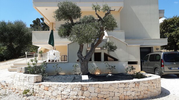 A modern building with a stone retaining wall, a tree, and a car parked in front.
