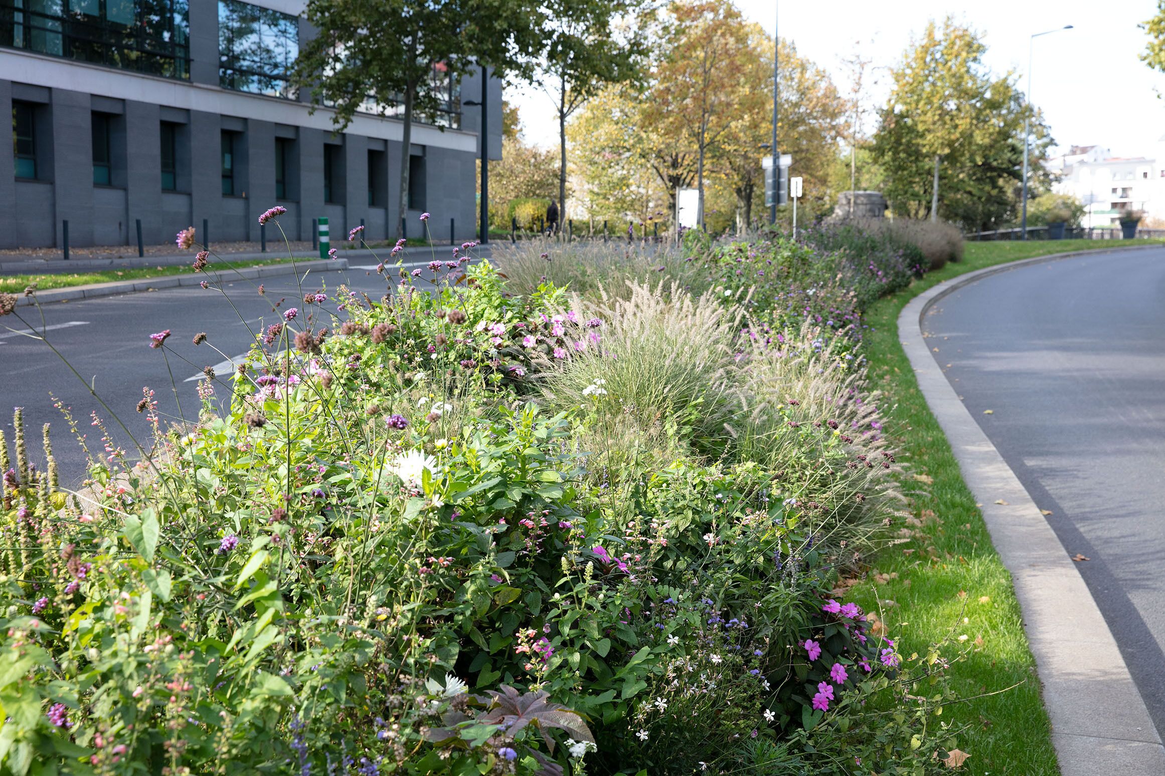 Foto - Le Grand Albert 1er