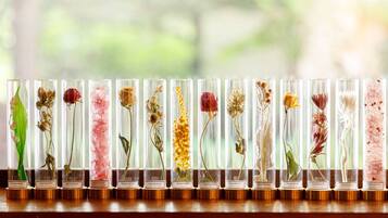 A row of glass display cases with various dried flowers and plants, each labeled with a name.