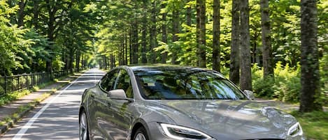 A silver sports car driving on a road surrounded by trees.