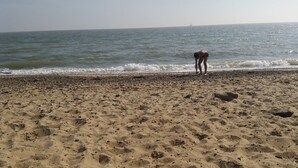 En sandstrand med fotspår och en person som står vid vattnet.