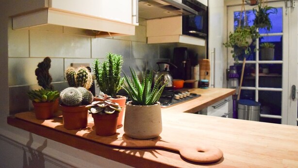 A kitchen counter with various potted plants and a wooden cutting board. - Stylish and Spacious Apartment With Terrace (London)