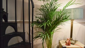 A potted plant next to a lamp and a small table with a vase. - Stylish and Spacious Apartment With Terrace (London)
