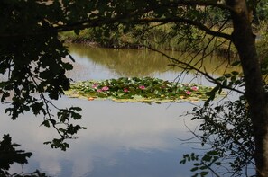 Property grounds - Peaceful Detached Cottage Studio French Countryside Private Garden Nature Lovers (champagne mouton)