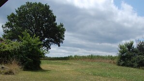 A picnic table with a bowl of fruit, a mug, a glass of juice, and a basket of bread, set in a grassy field with a tree in the background. - Peaceful Detached Cottage Studio French Countryside Private Garden Nature Lovers (champagne mouton)