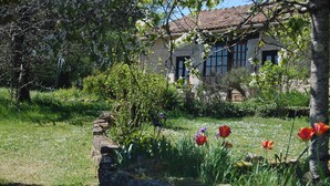 A stone house with a tiled roof, surrounded by a garden with various plants and flowers. - Peaceful Detached Cottage Studio French Countryside Private Garden Nature Lovers (champagne mouton)