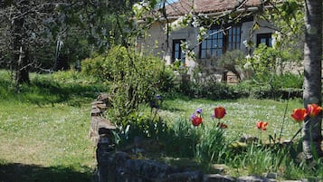 Terrein van de accommodatie