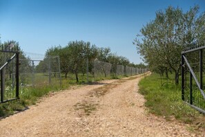 Villa | Unterkunftsgelände