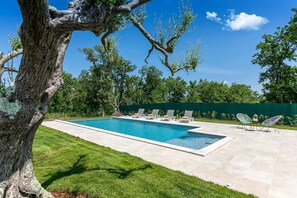 Villa | Pool | Outdoor pool - Villa Marchi (Vizinada)