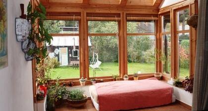 Kristucha - rent of the whole house