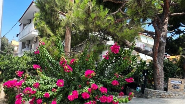 A building with a balcony, surrounded by greenery and pink flowers. - Grecian Sea (Thasos)