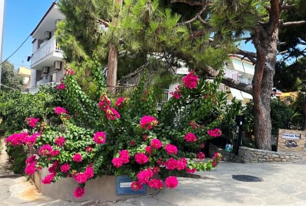 Un edificio con balcón, rodeado de follaje y flores rosadas.
