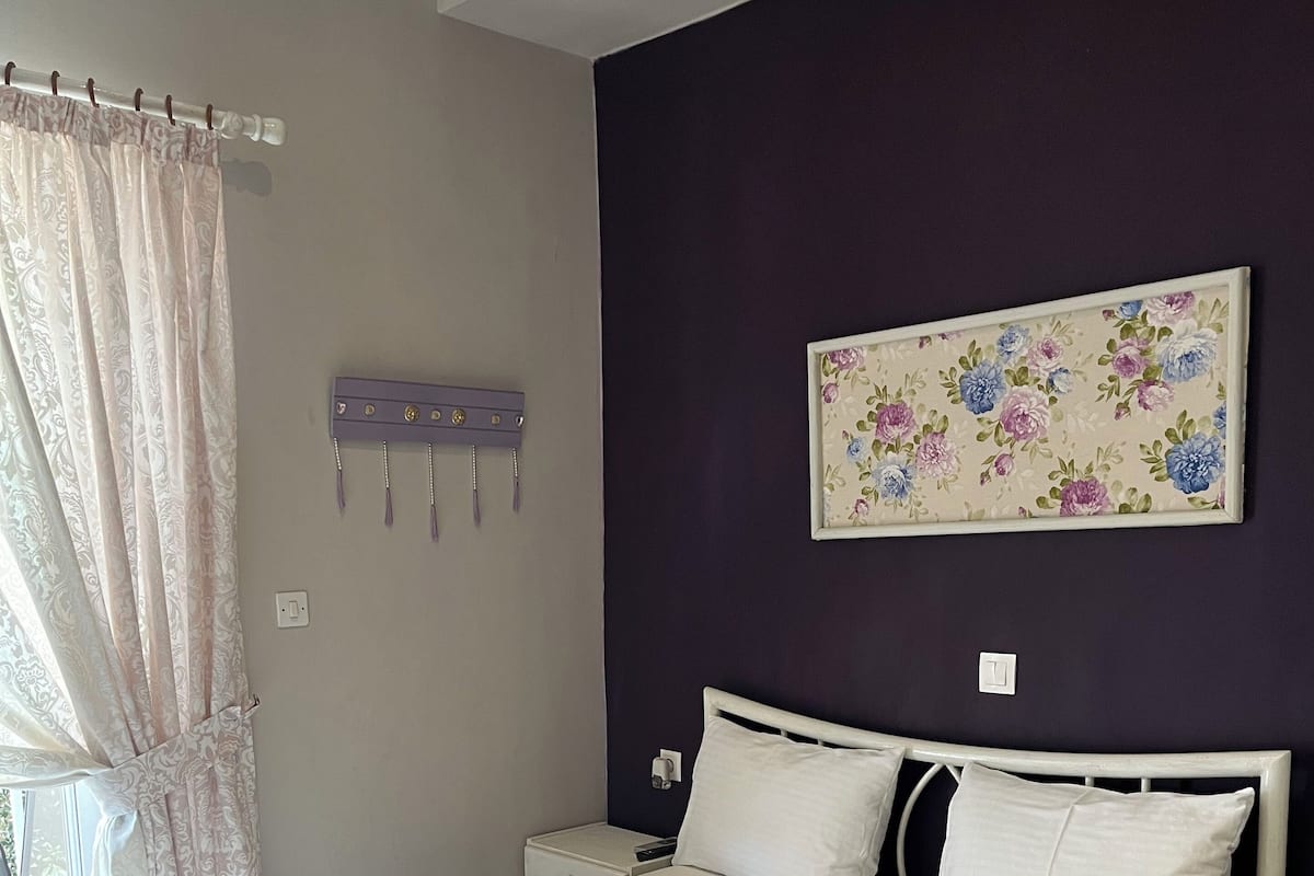 Basic Double Room | Egyptian cotton sheets, premium bedding, down comforters