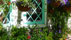 Una ventana pequeña con marco verde, rodeada de macetas y cestas colgantes con flores.