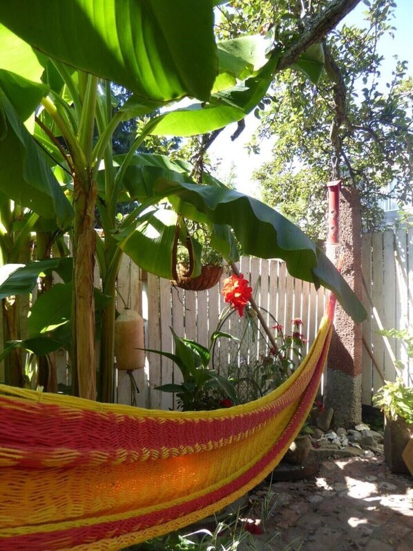 A hammock in a garden with banana plants and a wooden fence in the background. - Cozy Banana Cabana w/ soaking tub heated floors in secluded garden (Seattle)