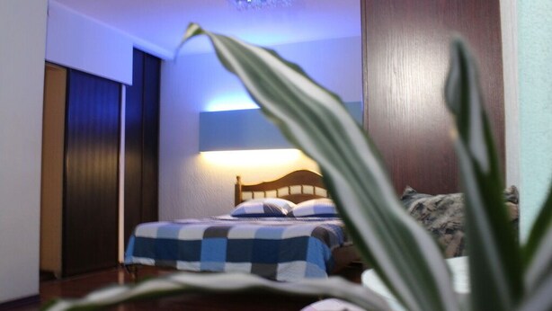 A hotel room with a bed, a nightstand, a lamp, and a plant. - Apartments Levada  (Kharkiv)