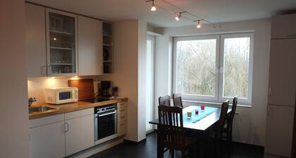 Nice, centrally located apartments in Cologne, streetcar stop in front of the door.