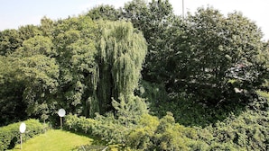 A lush garden with a prominent weeping willow tree, surrounded by dense foliage and a clear sky. - Nice, centrally located apartments in Cologne, streetcar stop in front of the door. (Köln)