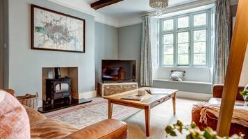 Télévision, cheminée