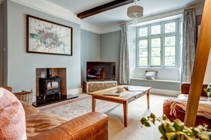 تلفزيون، مدفأة