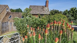 A traditional stone house with a sloped roof, surrounded by a garden with tall, spiky red and yellow flowers. - Rose Cottage | Adderbury Holiday Let | 2 Beds & Sleeps 3 (Adderbury)