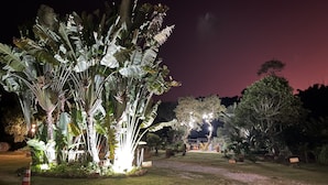 A nighttime garden with illuminated plants and trees. - Maria Barbosa Tiradentes Hotel and Spa (Tiradentes)