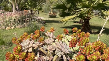 Jardín