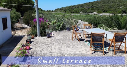 Charming Vacation Home "Scirkovic" Near The Sea