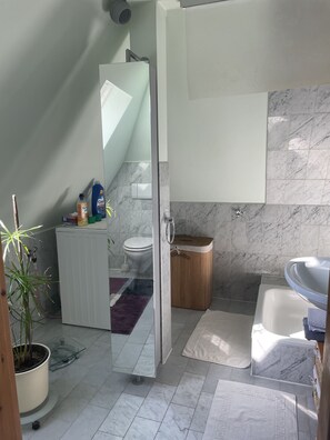 Shower, towels, soap, toilet paper