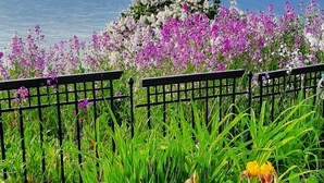 A garden with a variety of flowers and a view of the sea. - Bayview #1 on Lake Huron (Saint Ignace)