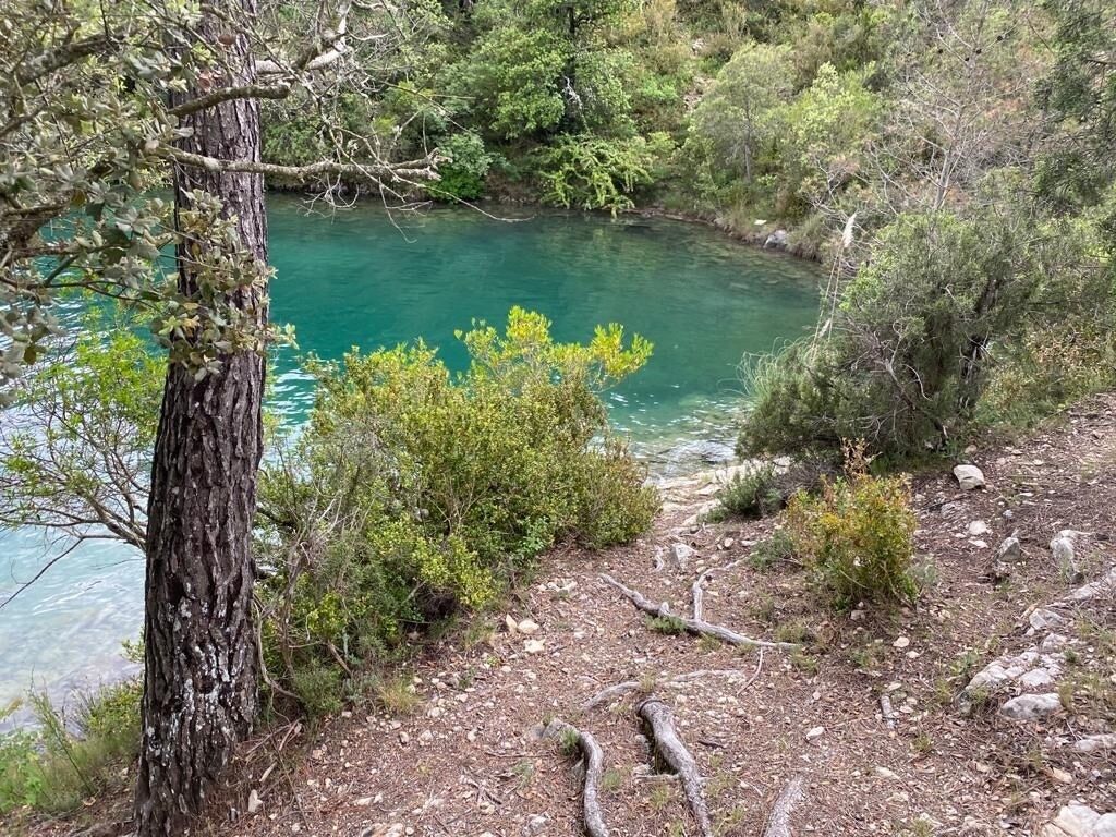 Paesaggio naturale con una distesa d'acqua limpida, circondata da vegetazione lussureggiante e terreno roccioso.