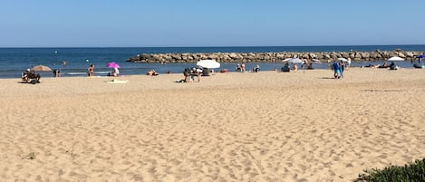 在海灘附近