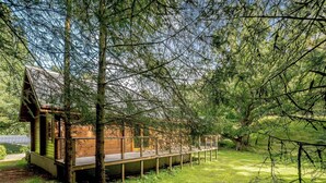A wooden cabin with a deck, surrounded by dense trees and a grassy area. - 2 bedroom accommodation in Killin, near Crianlarich (Killin, near Crianlarich)