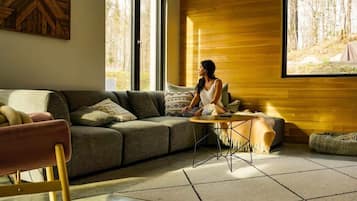 TV, fireplace, offices