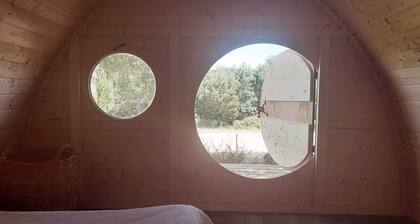 Alentejo farm with pool