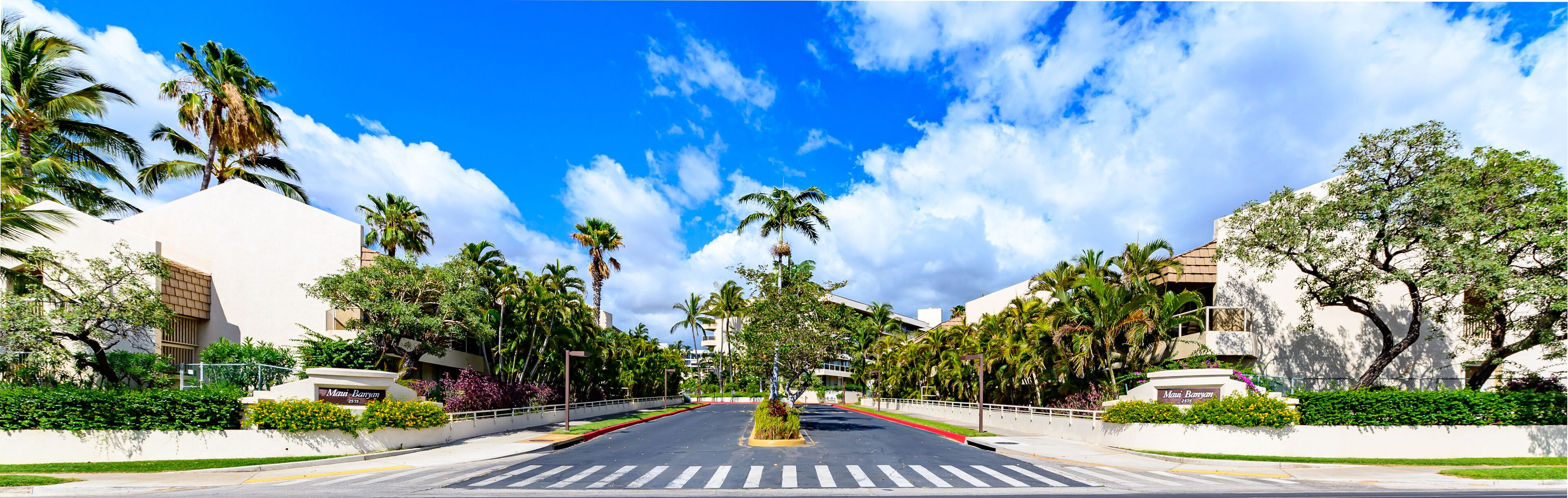 A street view with palm trees, a clear sky, and buildings with signs reading "Maui Banyan".